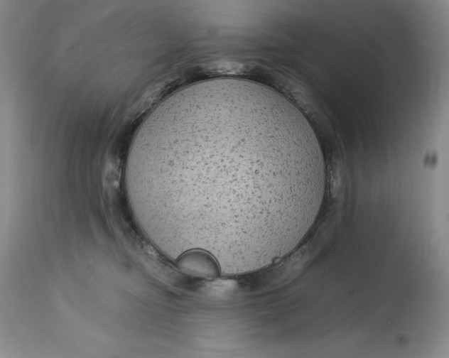 X0000113140374200909251310