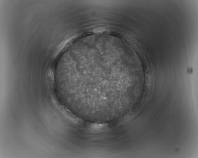 X0000113140375200909251310