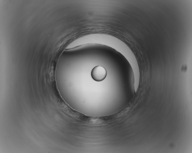 X0000113140376200909251310