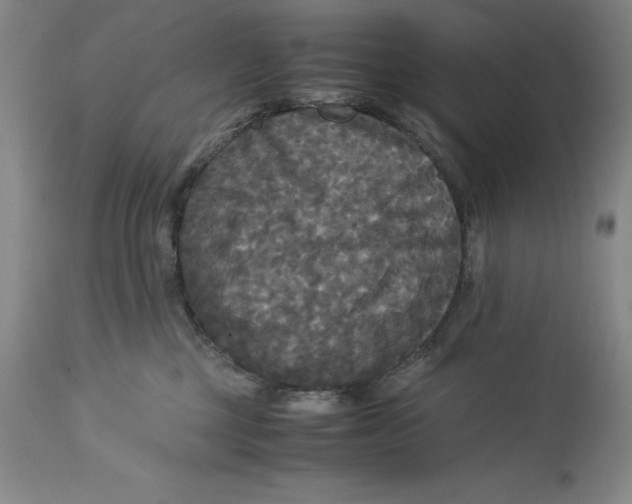 X0000113140377200909251310