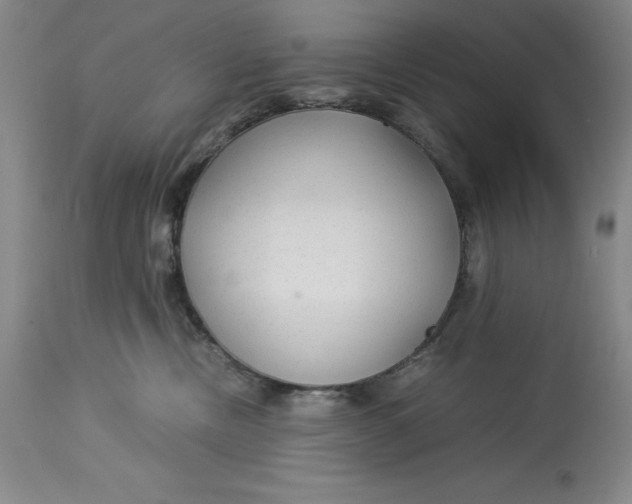 X0000113140378200909251310