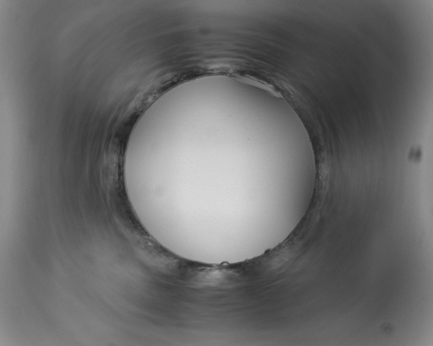 X0000113140379200909251310