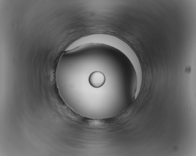 X0000113140380200909251310