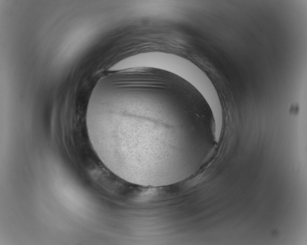 X0000113140382200909251310