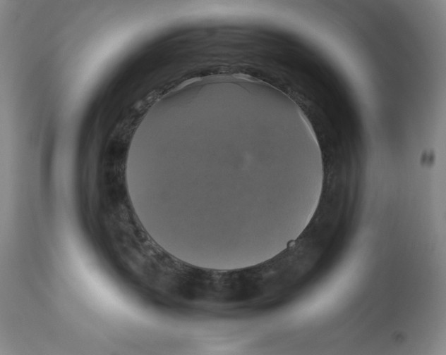 X0000113140383200909251310