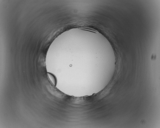 X0000113140384200909251310