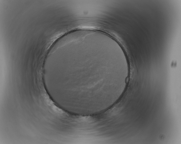 X0000113140385200909251309