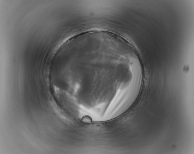 X0000113140386200909251309