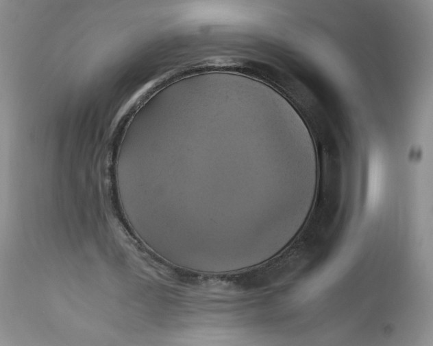 X0000113140387200909251309