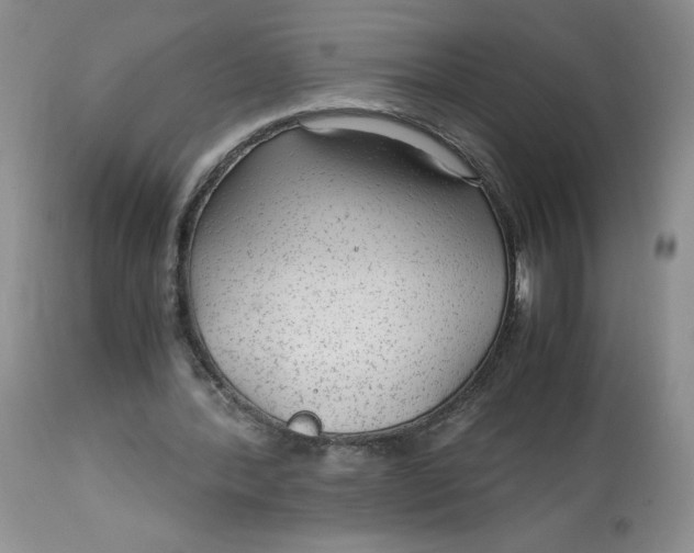 X0000113140388200909251309