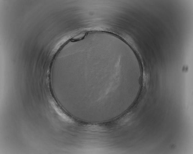 X0000113140389200909251309