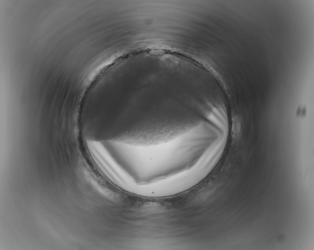 X0000113140390200909251309