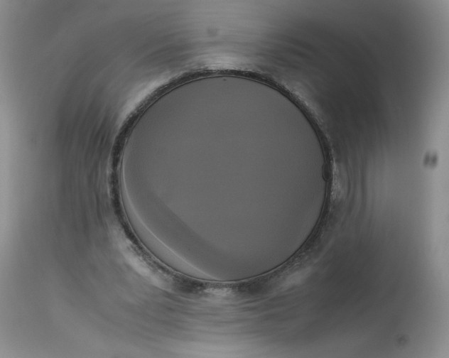 X0000113140391200909251309