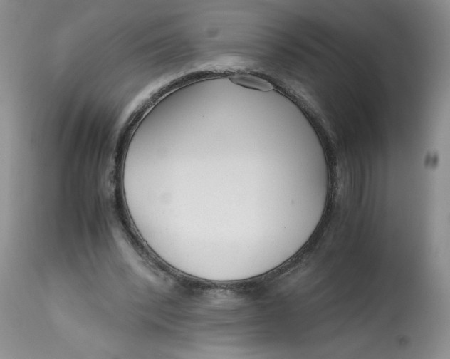 X0000113140392200909251309