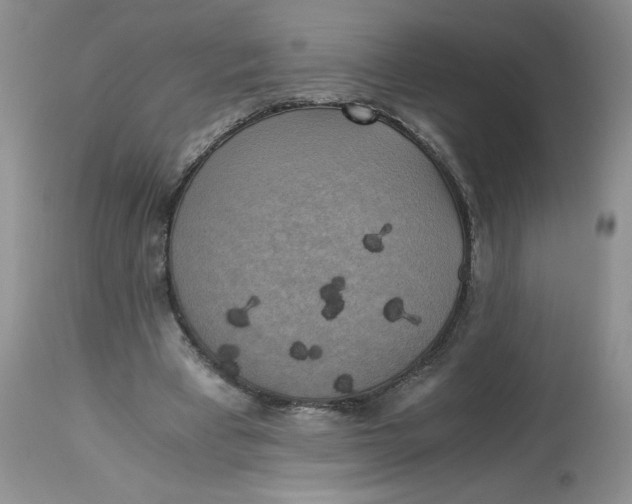 X0000113140393200909251309