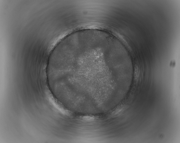 X0000113140394200909251309