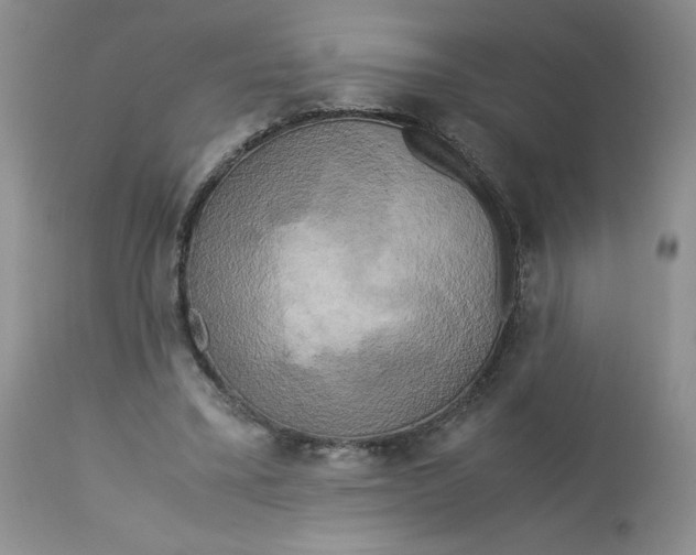 X0000113140395200909251309