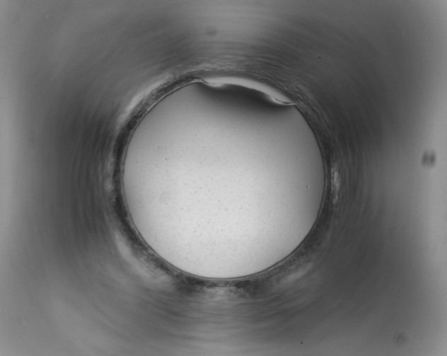 X0000113140396200909251309