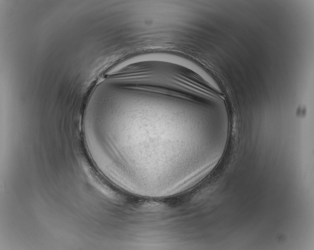 X0000113140397200909251309