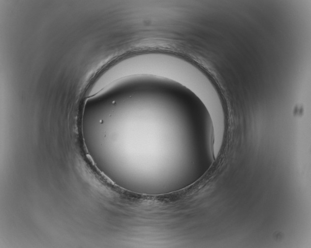 X0000113140399200909251309