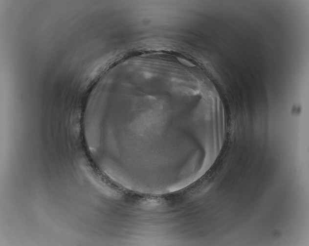 X0000113140402200909251309