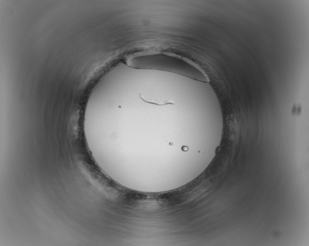 X0000113140404200909251309