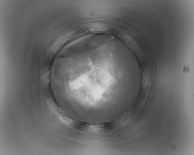 X0000113140405200909251309