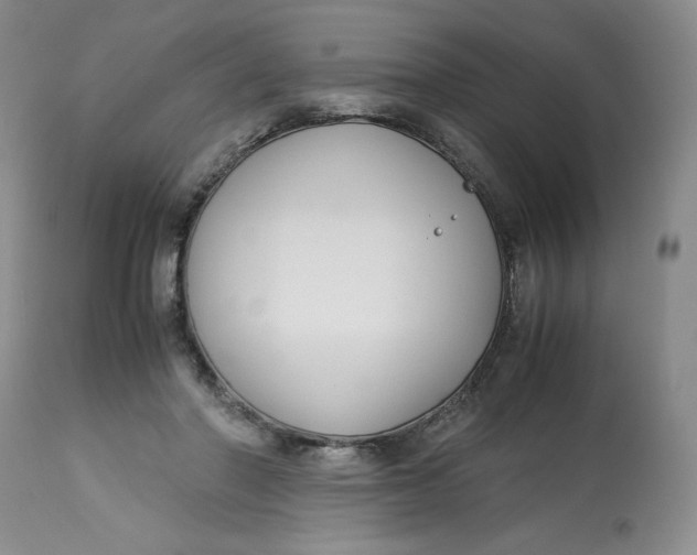 X0000113140406200909251309