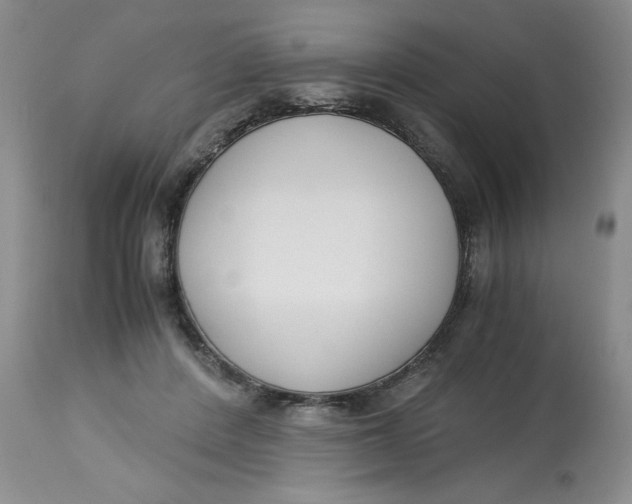 X0000113140408200909251309