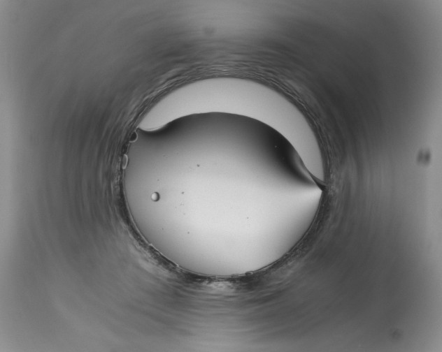 X0000113140409200909251309