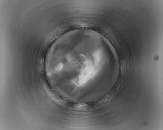 X0000113140410200909251309