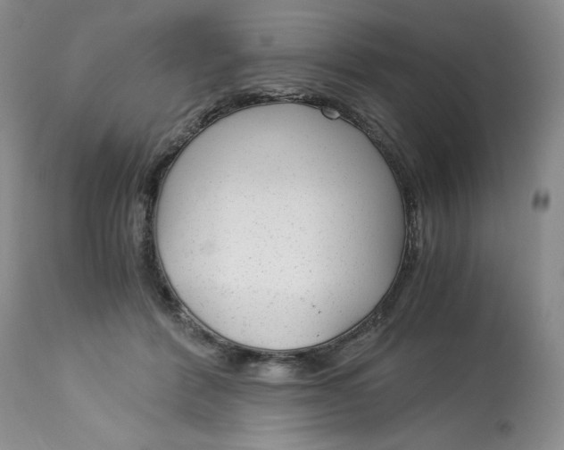 X0000113140412200909251309