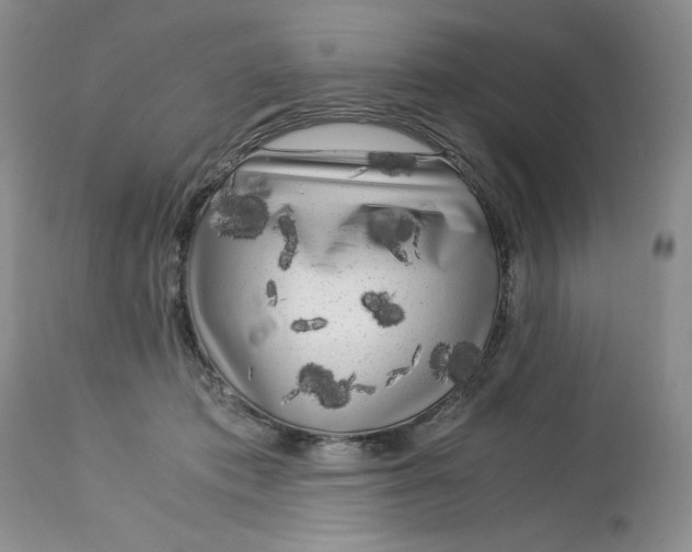 X0000113140413200909251309