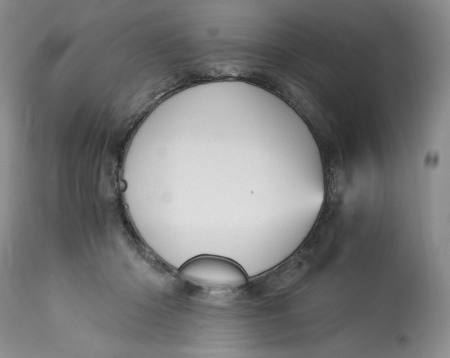 X0000113140414200909251309