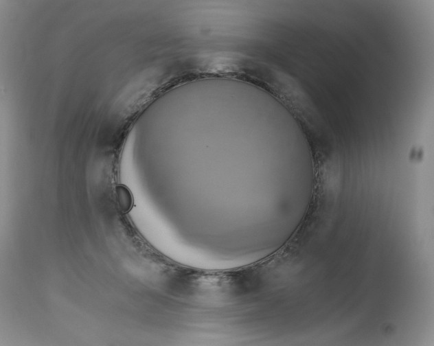 X0000113140415200909251309