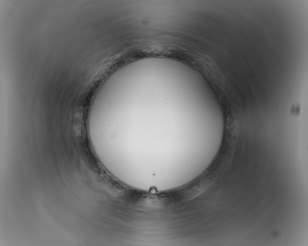 X0000113140416200909251309