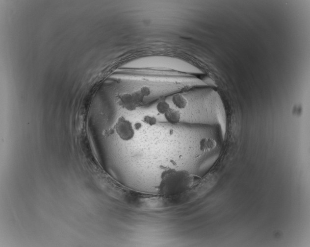 X0000113140417200909251309