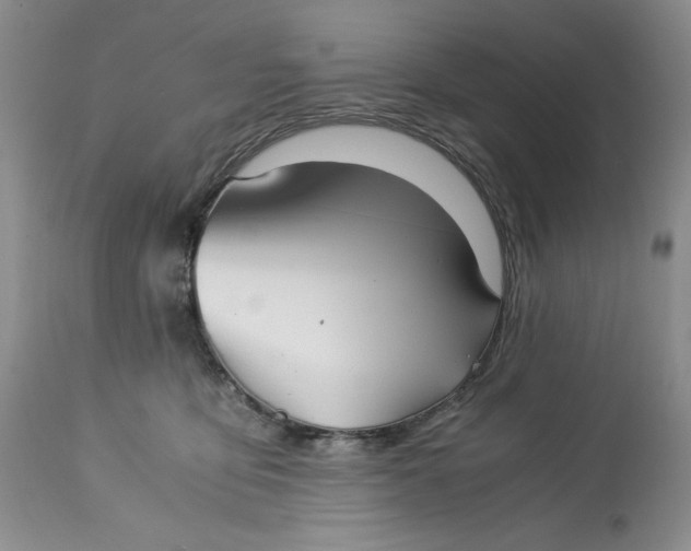 X0000113140419200909251309