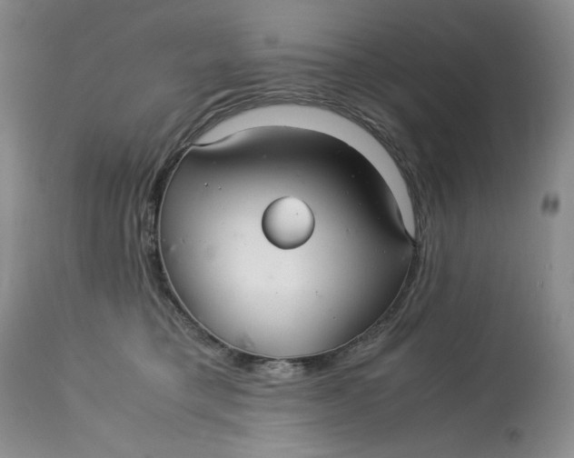 X0000113140421200909251309