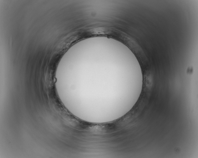 X0000113140422200909251309