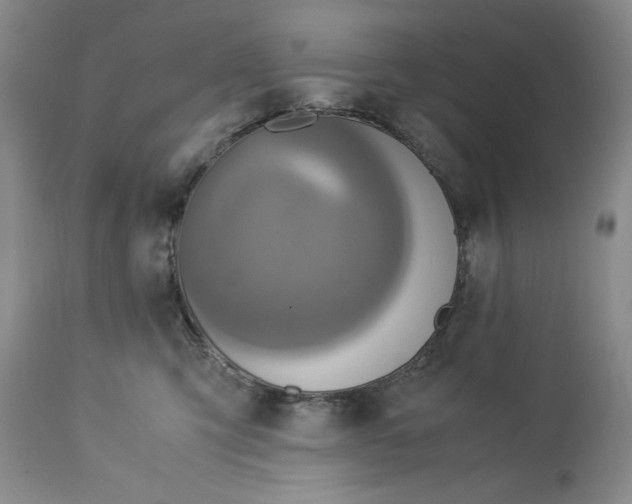 X0000113140423200909251309