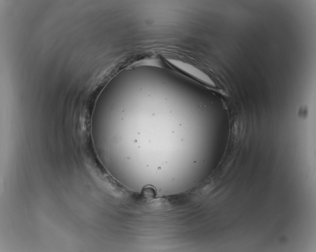 X0000113140424200909251309