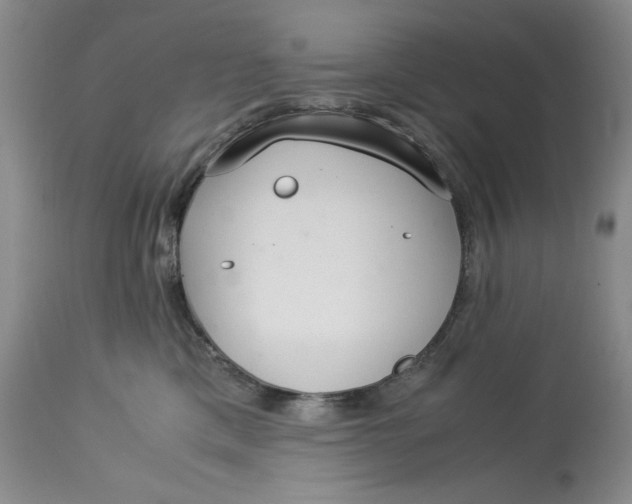 X0000113140425200909251309