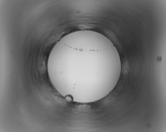 X0000113140426200909251309