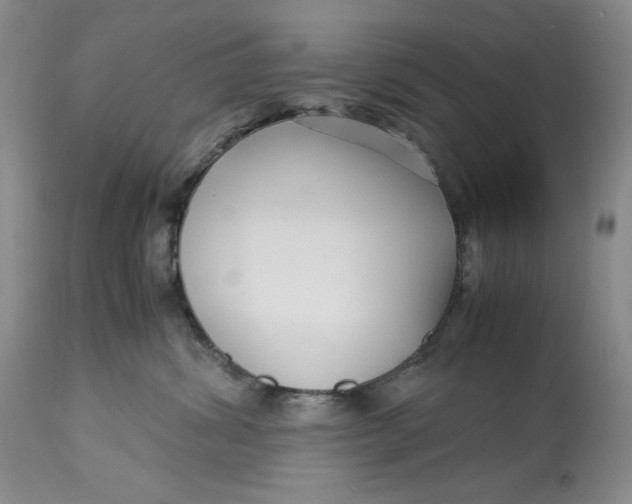 X0000113140428200909251309