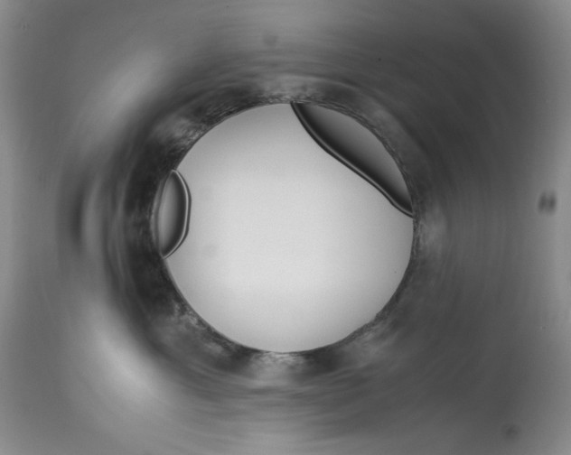 X0000113140429200909251309