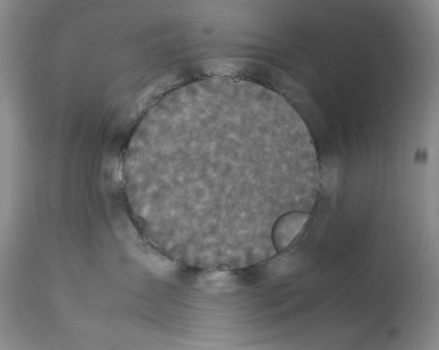 X0000113140431200909251309