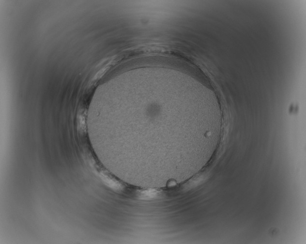 X0000113140432200909251309