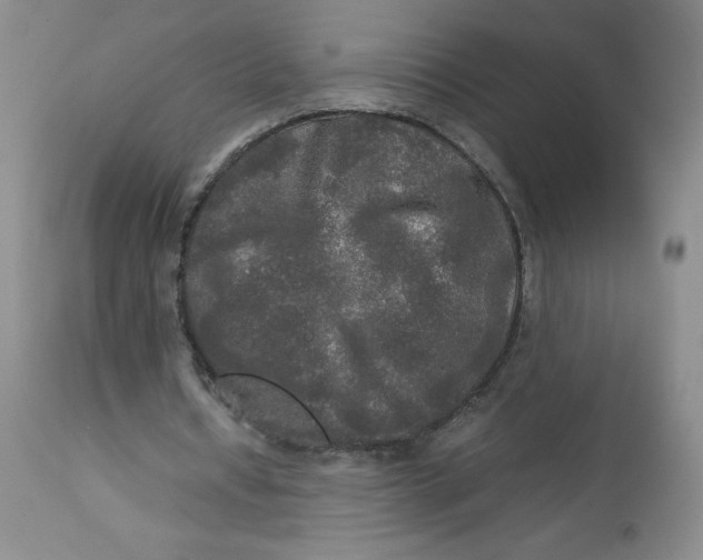 X0000113140434200909251308