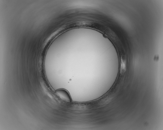 X0000113140435200909251308